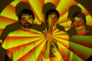 animal-collective animal-collective