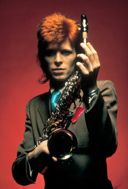 bowie 73