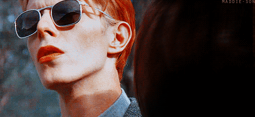 bowie gif
