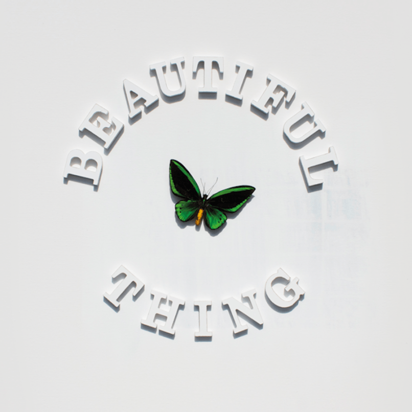 stone roses beautiful